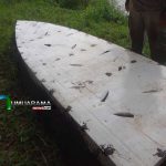 pesca 4