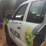 cachorra 3 copy