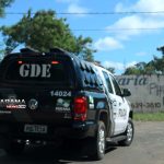 canelinha 25 copy