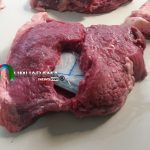 CARNE