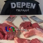 CARNE 2