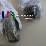 fumo