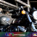 TENESSY COM LOGO 18