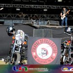 TENESSY COM LOGO 3