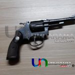 a1