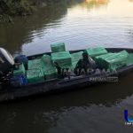 lancha 1 1