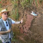 2019 01 22 Cruzeiro do Oeste Fosseis Dinossauros3796