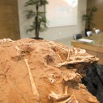 2019 06 26 Coletiva Coletiva Dinossauro Paleontologia Cruzeiro do Oeste3330