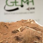 2019 06 26 Coletiva Coletiva Dinossauro Paleontologia Cruzeiro do Oeste3336