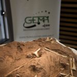 2019 06 26 Coletiva Coletiva Dinossauro Paleontologia Cruzeiro do Oeste3423