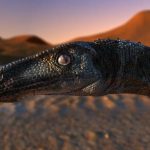 dino cdo