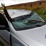 corsa galho