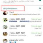 printi xambre 02