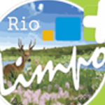 UMUARAMA-NEWS-SUPER-BANNER-TOPO-DESKTOP-1200X200-PX