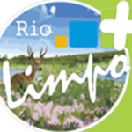UMUARAMA-NEWS-SUPER-BANNER-TOPO-MOBILE-1170X250PX