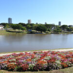 view-52304538389-394a1f8461-c-1661460069