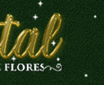 campanha_natal_media_extetrna_capa_banner_1170X250PX_1
