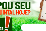 QUINTAL E TERRENO – UMUARAMA NEWS – 360X100