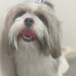 367719048_973205197085253_7971786680009380869_n