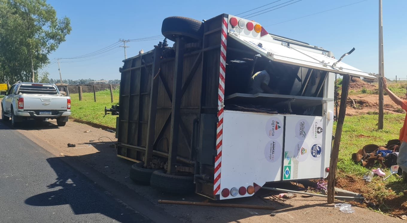 Acidente envolvendo caminhonete mata cavalo na BR-272, em Goioerê -  Umuarama News