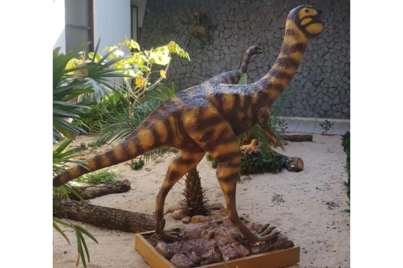 divulgacao museu de paleontologia de cruzeiro do oeste 2