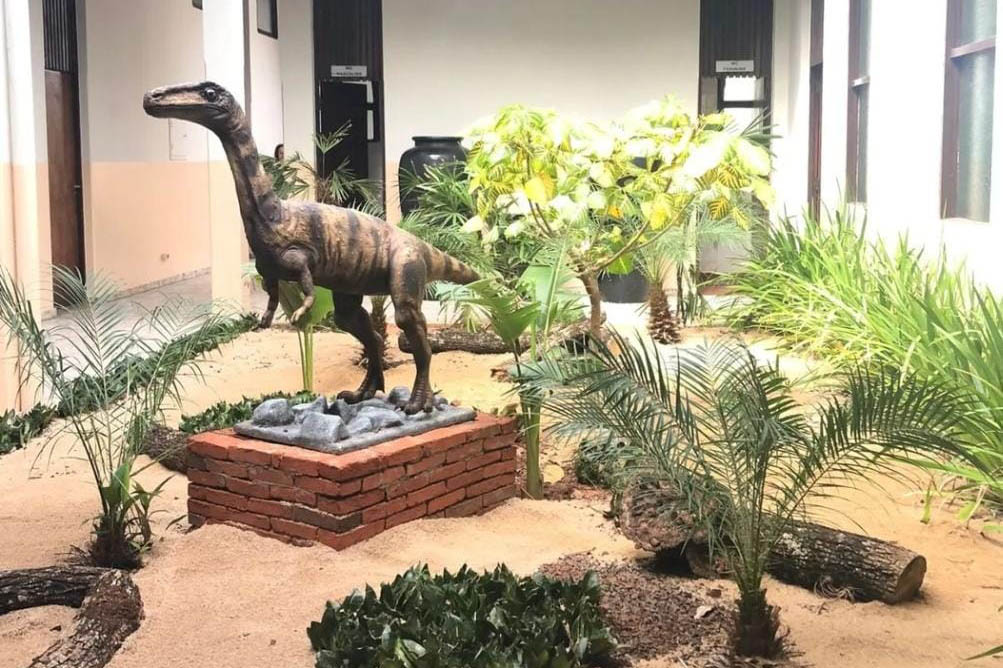 divulgacao museu de paleontologia de cruzeiro do oeste 3