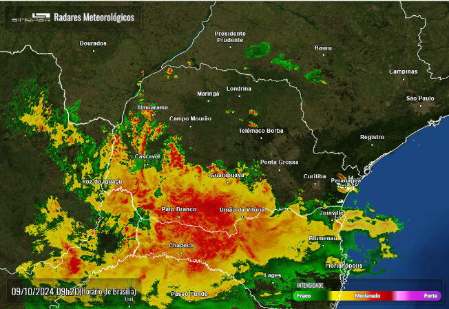 80516 e1728479720497