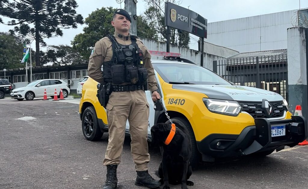 Policial cao apreendem drogas